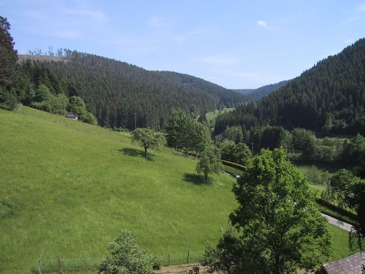 Ferienwohnung Kaufmann 拜尔斯布龙 外观 照片
